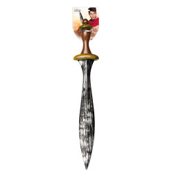 Meč sparťanského vojáka